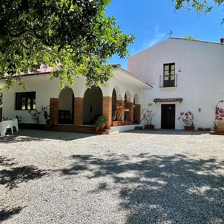 Villa Tana Pacenzia Cefalu Ngoại thất bức ảnh