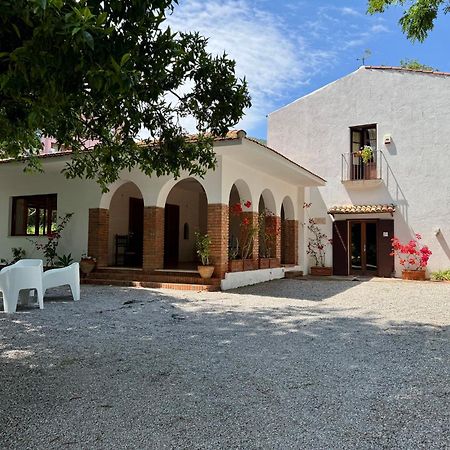 Villa Tana Pacenzia Cefalu Ngoại thất bức ảnh