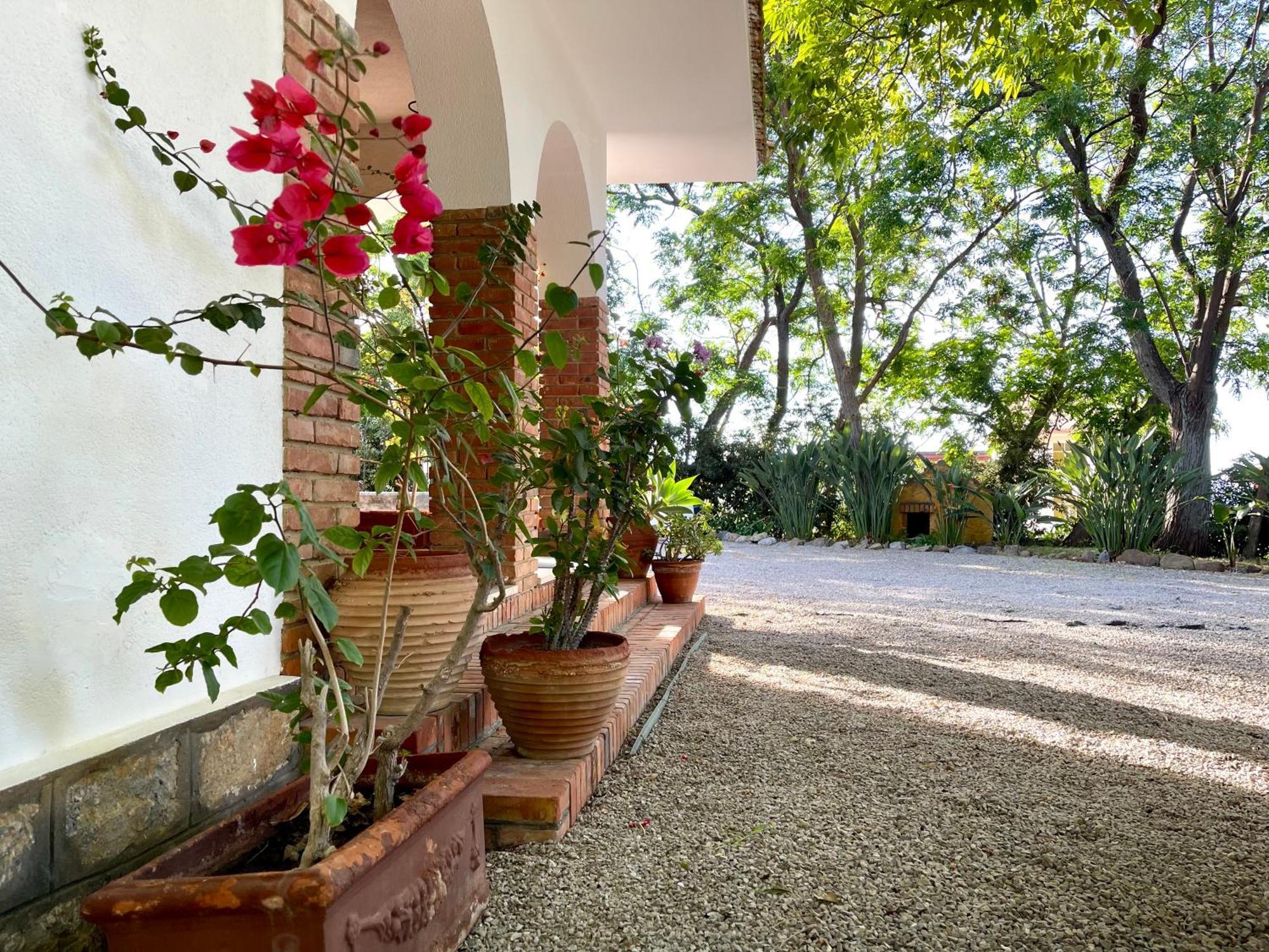 Villa Tana Pacenzia Cefalu Ngoại thất bức ảnh